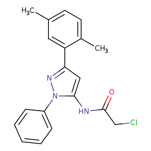 ClCC(=O)Nc1cc(nn1c1ccccc1)c1cc(C)ccc1C