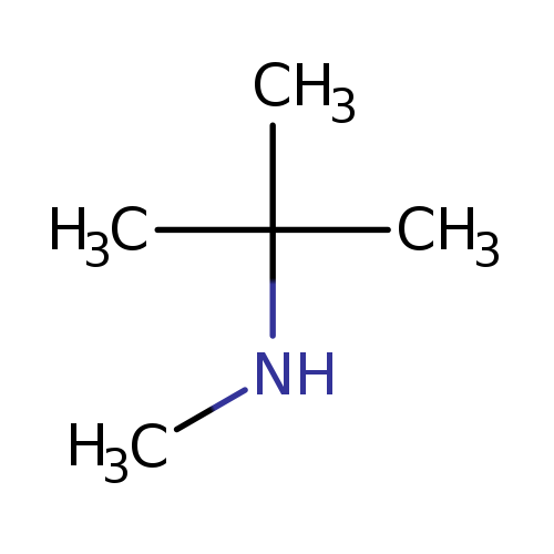 CNC(C)(C)C