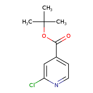 Clc1nccc(c1)C(=O)OC(C)(C)C