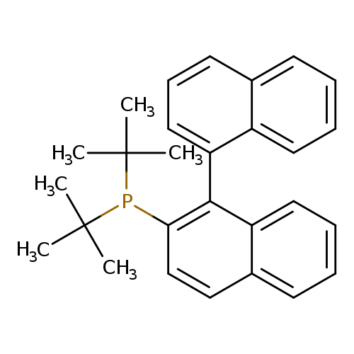 CC(P(C(C)(C)C)c1ccc2c(c1c1cccc3c1cccc3)cccc2)(C)C