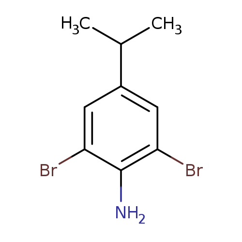 CC(c1cc(Br)c(c(c1)Br)N)C