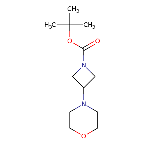 O=C(N1CC(C1)N1CCOCC1)OC(C)(C)C