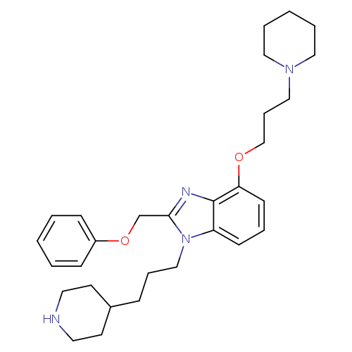 N1CCC(CC1)CCCn1c(COc2ccccc2)nc2c1cccc2OCCCN1CCCCC1