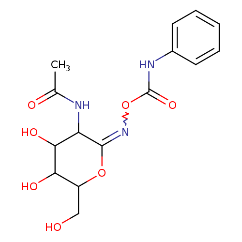 OCC1OC(=NOC(=O)Nc2ccccc2)C(C(C1O)O)NC(=O)C