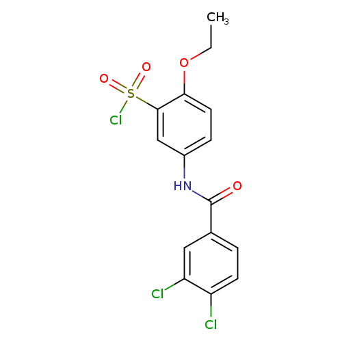 CCOc1ccc(cc1S(=O)(=O)Cl)NC(=O)c1ccc(c(c1)Cl)Cl