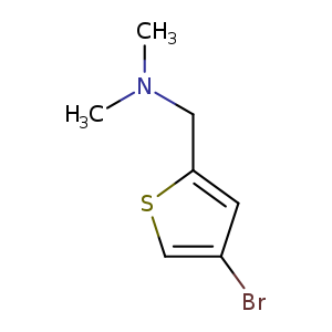CN(Cc1scc(c1)Br)C