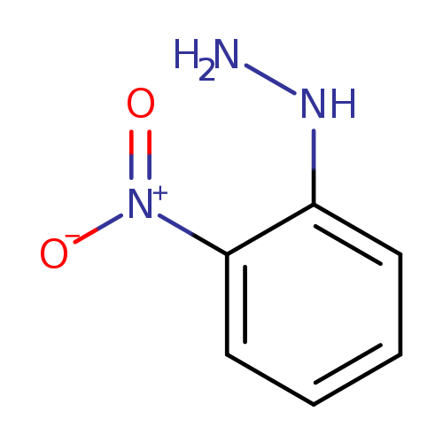 NNc1ccccc1[N+](=O)[O-]