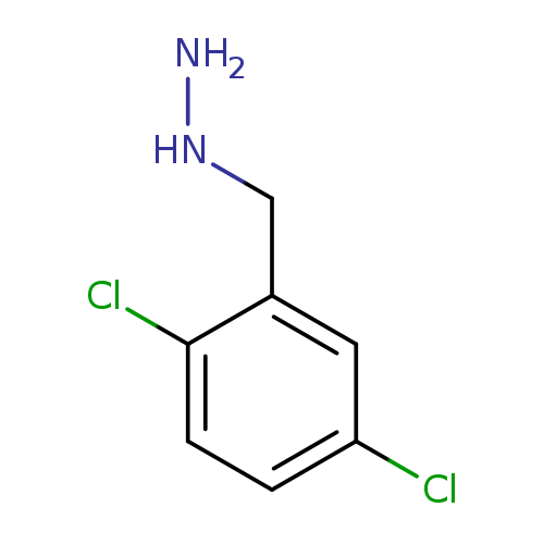 NNCc1cc(Cl)ccc1Cl