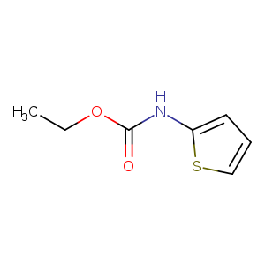 CCOC(=O)Nc1cccs1