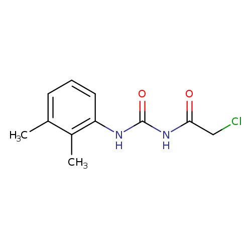 Cc1c(NC(=O)NC(=O)CCl)cccc1C