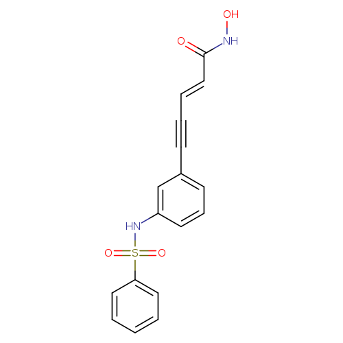 ONC(=O)/C=C/C#Cc1cccc(c1)NS(=O)(=O)c1ccccc1