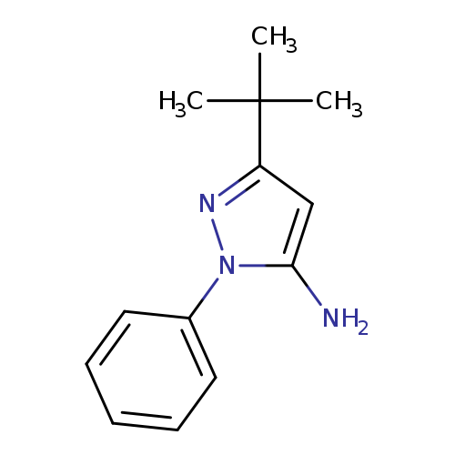 Nc1cc(nn1c1ccccc1)C(C)(C)C