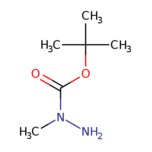 O=C(N(N)C)OC(C)(C)C