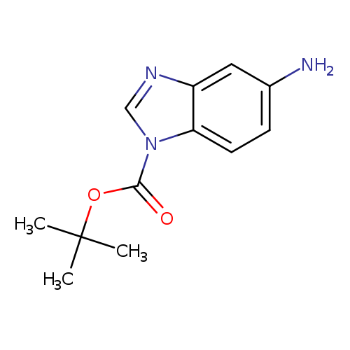 Nc1ccc2c(c1)ncn2C(=O)OC(C)(C)C