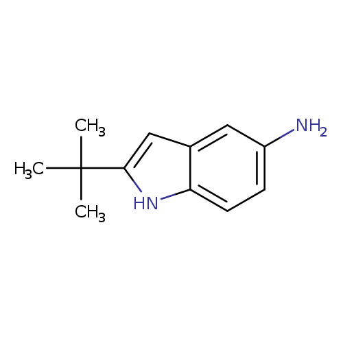 Nc1ccc2c(c1)cc([nH]2)C(C)(C)C
