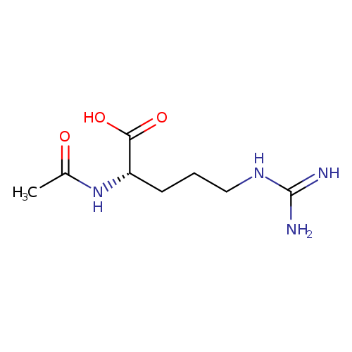 NC(=N)NCCC[C@@H](C(=O)O)NC(=O)C