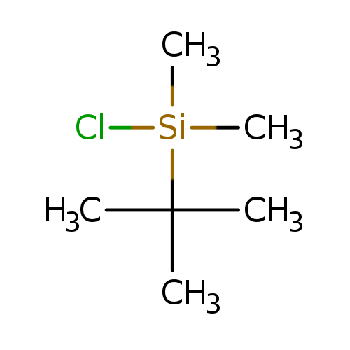 C[Si](C(C)(C)C)(Cl)C