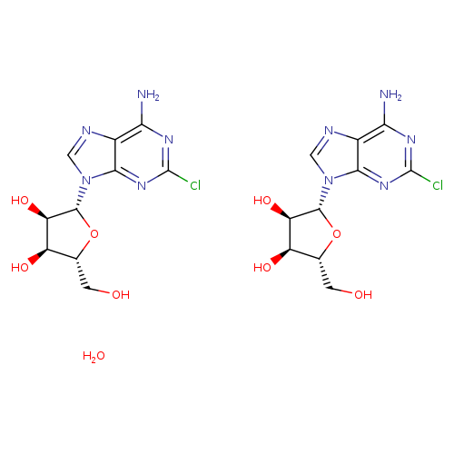 OC[C@H]1O[C@H]([C@@H]([C@@H]1O)O)n1cnc2c1nc(Cl)nc2N.OC[C@H]1O[C@H]([C@@H]([C@@H]1O)O)n1cnc2c1nc(Cl)nc2N.O