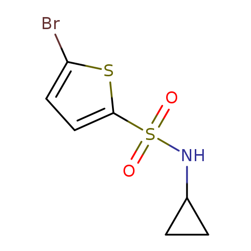 Brc1ccc(s1)S(=O)(=O)NC1CC1