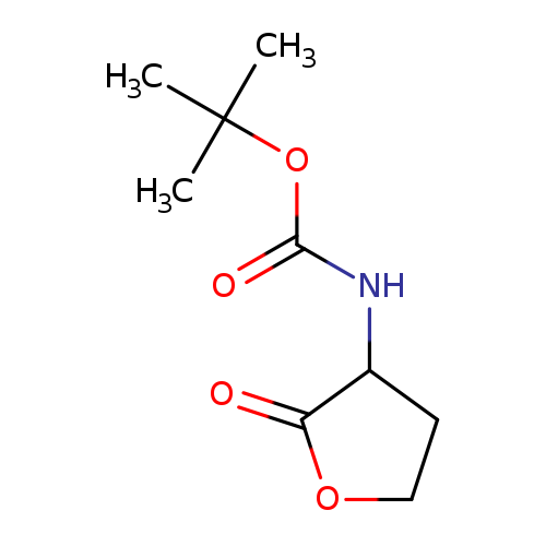 O=C(OC(C)(C)C)NC1CCOC1=O