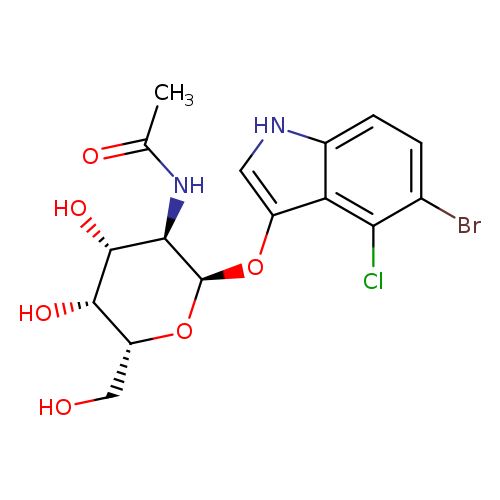 OC[C@H]1O[C@H](Oc2c[nH]c3c2c(Cl)c(cc3)Br)[C@@H]([C@H]([C@H]1O)O)NC(=O)C