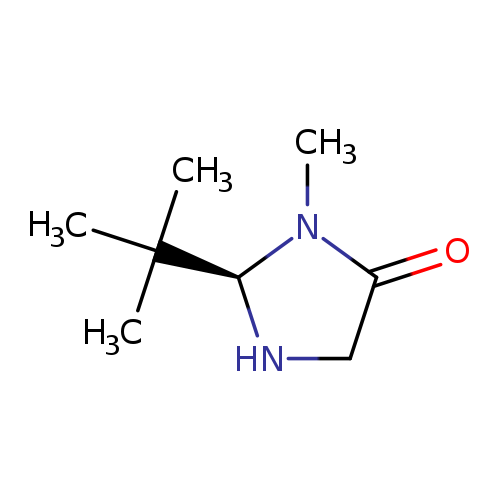 CN1C(=O)CN[C@H]1C(C)(C)C