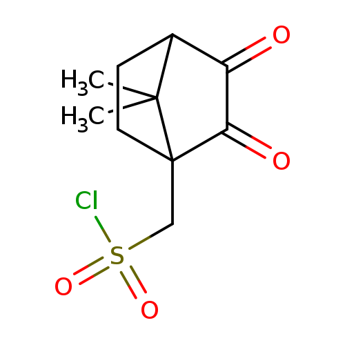 O=C1C2CCC(C1=O)(C2(C)C)CS(=O)(=O)Cl