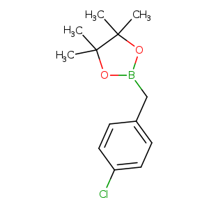 CC1(C)OB(OC1(C)C)Cc1ccc(cc1)Cl