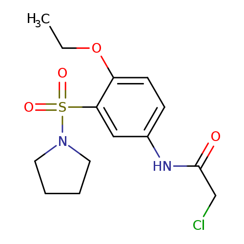 CCOc1ccc(cc1S(=O)(=O)N1CCCC1)NC(=O)CCl
