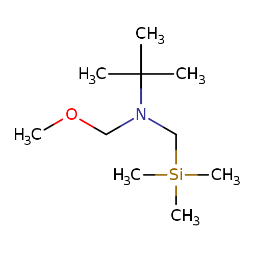 COCN(C(C)(C)C)C[Si](C)(C)C