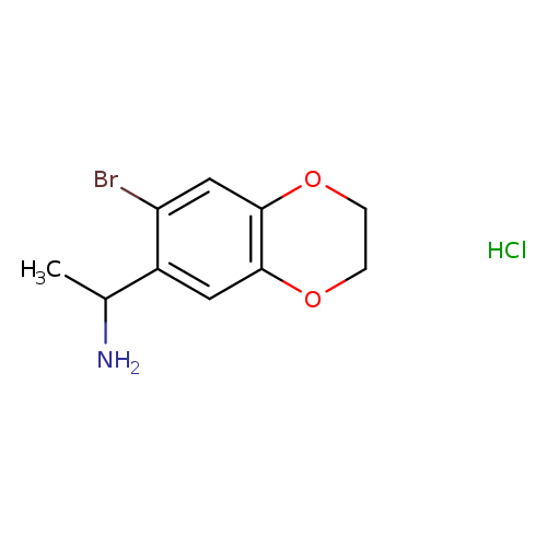 CC(c1cc2OCCOc2cc1Br)N.Cl