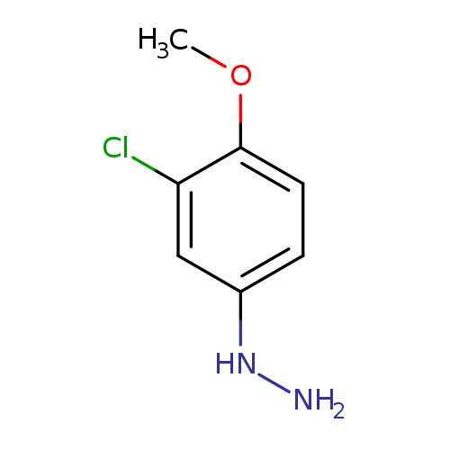 NNc1ccc(c(c1)Cl)OC