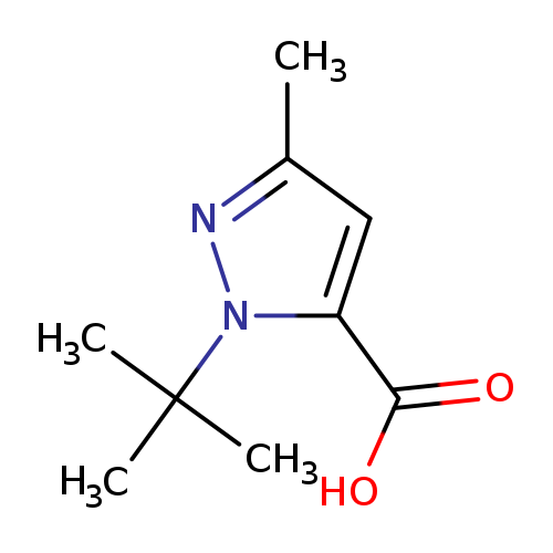 Cc1nn(c(c1)C(=O)O)C(C)(C)C