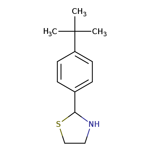 CC(c1ccc(cc1)C1NCCS1)(C)C