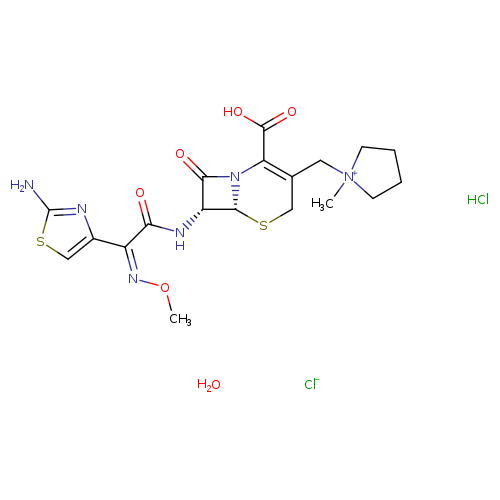 CO/N=C(/c1csc(n1)N)C(=O)N[C@@H]1C(=O)N2[C@@H]1SCC(=C2C(=O)O)C[N+]1(C)CCCC1.O.Cl.[Cl-]