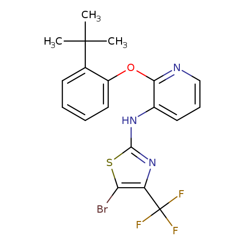 Brc1sc(nc1C(F)(F)F)Nc1cccnc1Oc1ccccc1C(C)(C)C