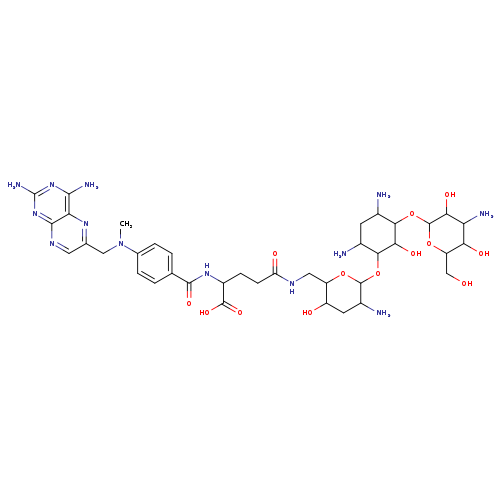 OCC1OC(OC2C(N)CC(C(C2O)OC2OC(CNC(=O)CCC(C(=O)O)NC(=O)c3ccc(cc3)N(Cc3cnc4c(n3)c(N)nc(n4)N)C)C(CC2N)O)N)C(C(C1O)N)O