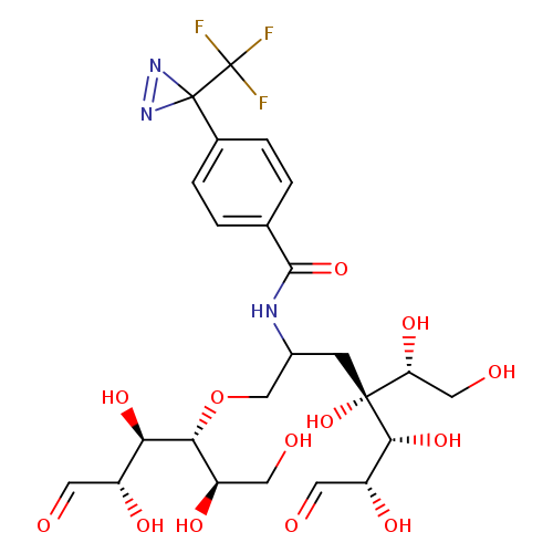 OC[C@H]([C@H]([C@@H]([C@@H](C=O)O)O)OCC(C[C@]([C@@H]([C@@H](C=O)O)O)([C@@H](CO)O)O)NC(=O)c1ccc(cc1)C1(N=N1)C(F)(F)F)O