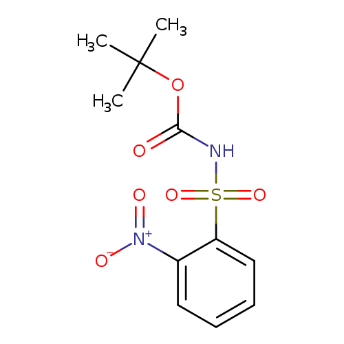 O=C(NS(=O)(=O)c1ccccc1[N+](=O)[O-])OC(C)(C)C