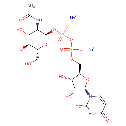 OC[C@H]1O[C@H](OP(=O)(OP(=O)(OC[C@H]2O[C@H]([C@@H]([C@@H]2O)O)n2ccc(=O)[nH]c2=O)[O-])[O-])[C@@H]([C@H]([C@@H]1O)O)NC(=O)C.[Na+].[Na+]