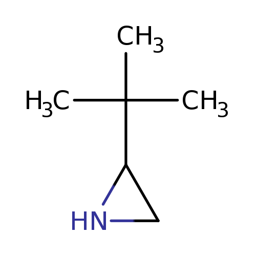 CC(C1NC1)(C)C