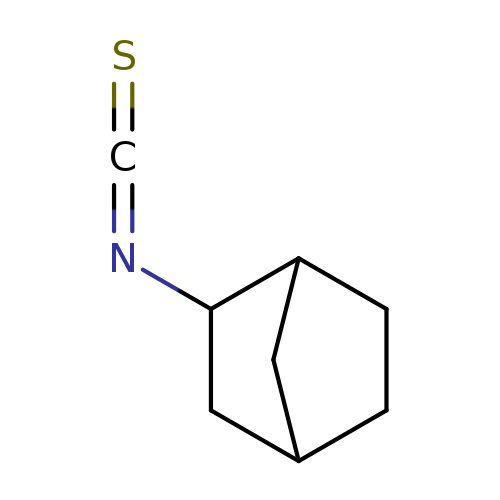 S=C=NC1CC2CC1CC2