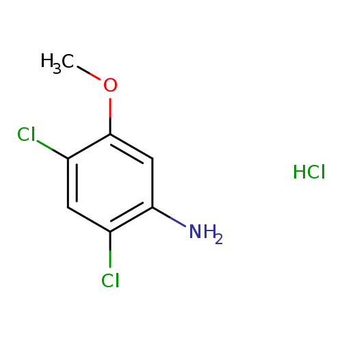 COc1cc(N)c(cc1Cl)Cl.Cl