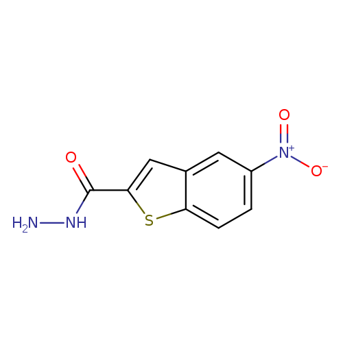 NNC(=O)c1cc2c(s1)ccc(c2)[N+](=O)[O-]