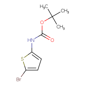 O=C(Nc1ccc(s1)Br)OC(C)(C)C