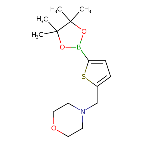 CC1(C)OB(OC1(C)C)c1ccc(s1)CN1CCOCC1