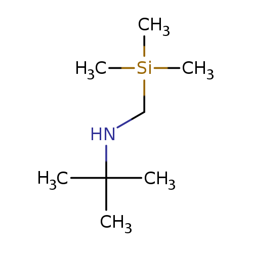 C[Si](CNC(C)(C)C)(C)C