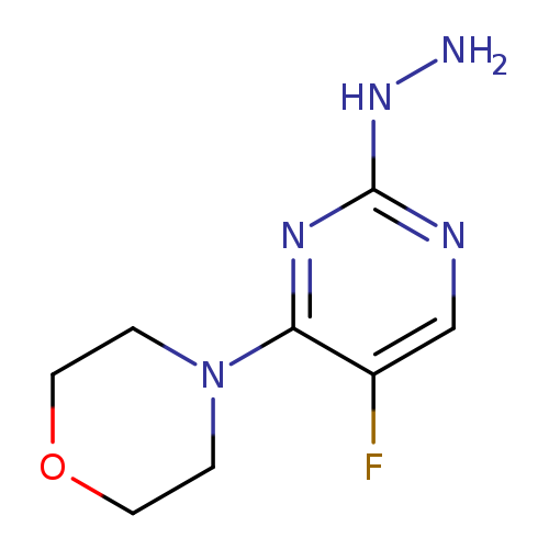 NNc1ncc(c(n1)N1CCOCC1)F