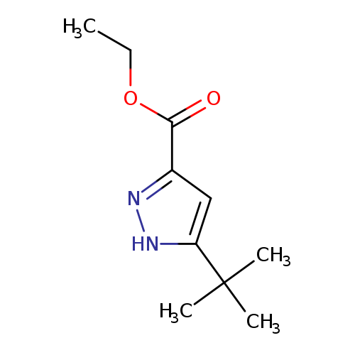 CCOC(=O)c1n[nH]c(c1)C(C)(C)C