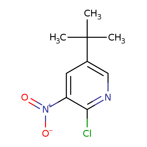 [O-][N+](=O)c1cc(cnc1Cl)C(C)(C)C